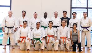 Image result for United Sport Karate