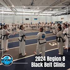 Image result for Devines Martial Arts