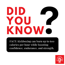 Image result for KB KICKBOXING