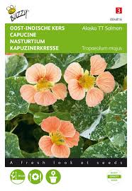 Attēlu rezultāti vaicājumam “Tropaeolum majus”