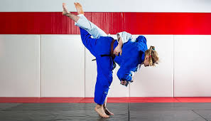 Image result for Melbourne Judo Club