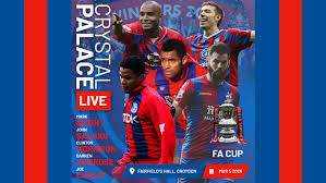 Image result for Crystal Palace Netball Club