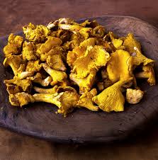 Attēlu rezultāti vaicājumam “Cantharellus cibarius”