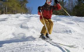 Image result for Gordon Skiers