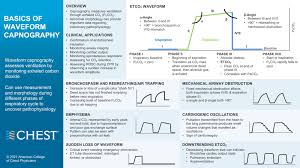 Image result for  v    q