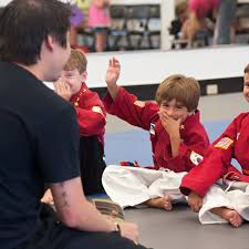 Image result for Skillz Martial Arts