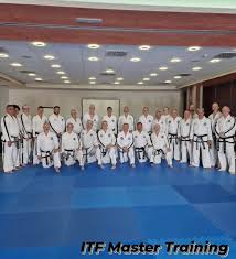 Image result for London Colney Tae Kwon Do  (I.T.F. / LTSI / A.F.T.)