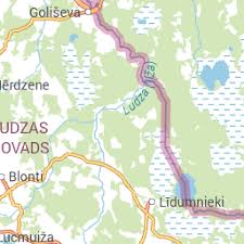 Attēlu rezultāti vaicājumam “Fuligo luteonitens”