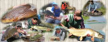 Image result for Segdoune Flyfishers` Angling Club