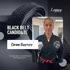 Image result for Guerrero Martial Arts
