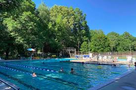 Image result for Ledbury & District Amateur Swimming Club