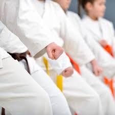Image result for Leighton Buzzard Tae Kwon-Do Club
