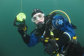 Image result for Worcester Divers Octopush Club