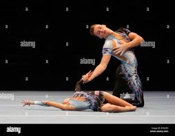 Image result for Harriers Acrobatic Gym Club