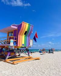 Image result for Dover Lifeguard Sc