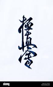 Image result for Kyokushin Karate