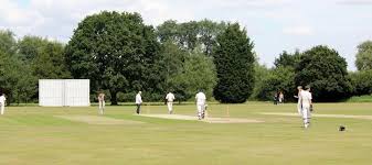 Image result for Buckhurst Hill Cricket & Lacrosse Club