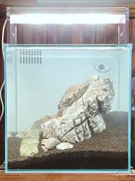 Attēlu rezultāti vaicājumam “Leptodictyum riparium sporophyte”