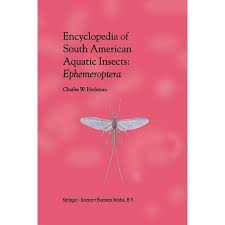 Attēlu rezultāti vaicājumam “Ephemeroptera”