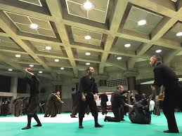 Image result for Manchester University Ninjutsu Society