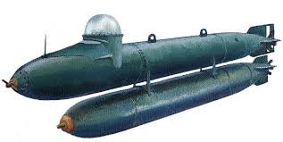 Image result for Torpedo torpedo
