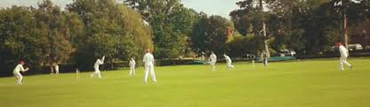 Image result for Leicester Ivanhoe Cricket Club