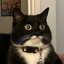 Kết quả hình ảnh cho Jy...N