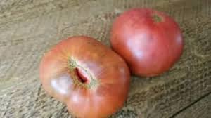 Afbeeldingsresultaat voor dark purple beefsteak tomato