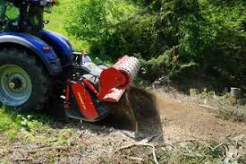 Image result for seppi tehron