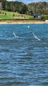 Image result for Brading Haven Yacht Club