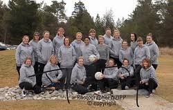 Image result for Molineux Netball Club