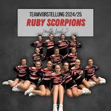Image result for Sheffield Scorpions Cheerleading