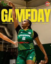 Image result for Nottingham Wildcats