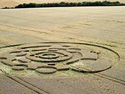 Image result for crop circles