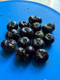 Afbeeldingsresultaat voor debarro black tomato