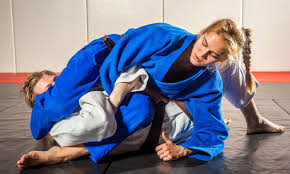 Image result for Team Renegade BJJ & Judo