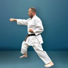 Image result for ZOKU SHOTOKAN KARATE (Baldock)