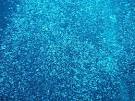 Geoengineer Floats Climate Change Scheme: Blowing Bubbles in the ... 