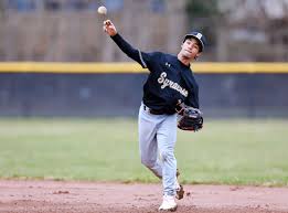 Image result for borte h