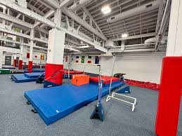Image result for Child`s Hill Gymnastics Club