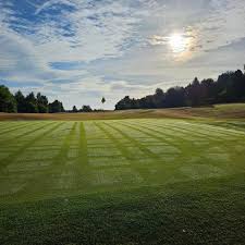 Image result for Vale Royal Abbey Golf Club