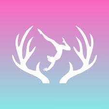 Image result for Uckfield Gymnastics Club