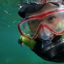 Image result for Wyndley Seals Snorkelling Club