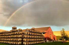 Image result for Owen Roe G A C Coleraine