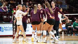 Image result for York University Volleyball Club