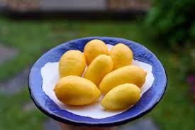 Attēlu rezultāti vaicājumam “Carex limosa fruit”