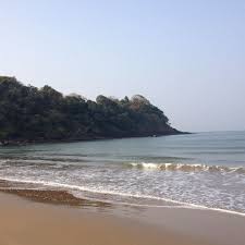 Image result for patnem beach