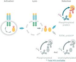 Image result for HTRPC