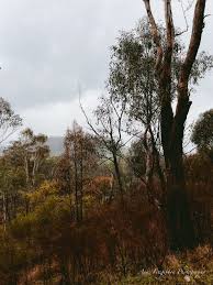 Image result for Strathbogie Rambling Club