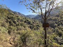 Výsledek obrázku pro yungas